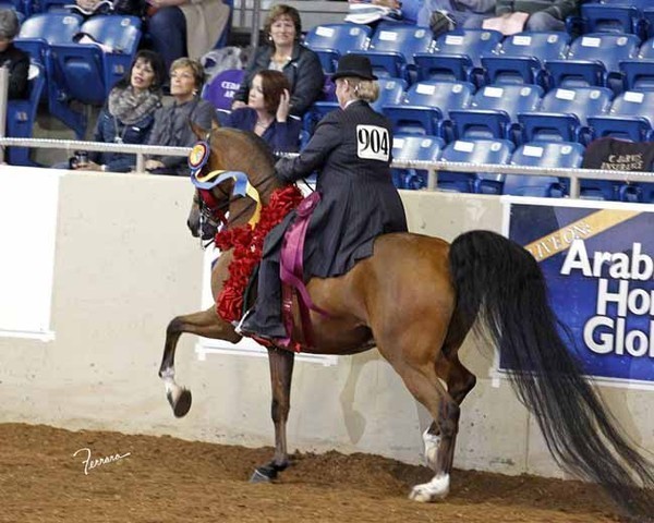 The 2011 US Nationals