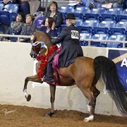 The 2011 US Nationals