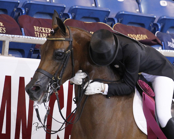 The 2011 US Nationals