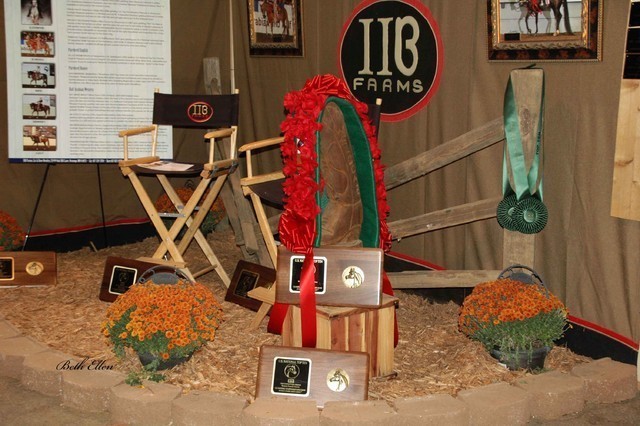 The 2011 US Nationals