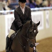 The 2011 US Nationals