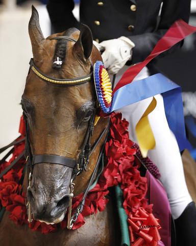 The 2011 US Nationals