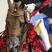 The 2011 US Nationals