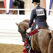 The 2011 US Nationals