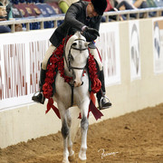 The 2011 US Nationals