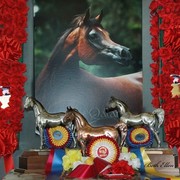 The 2011 US Nationals