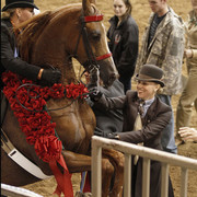 The 2011 US Nationals