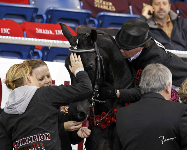 The 2011 US Nationals
