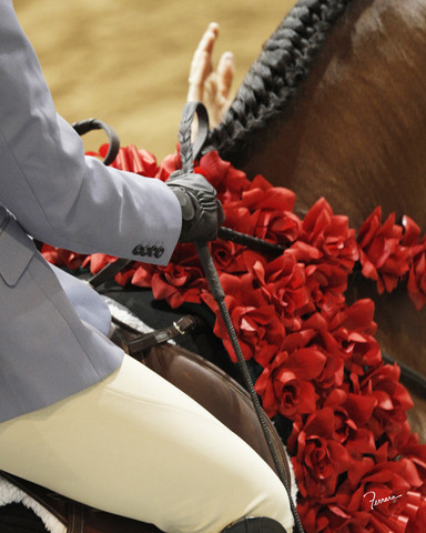The 2011 US Nationals