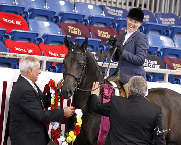 The 2011 US Nationals