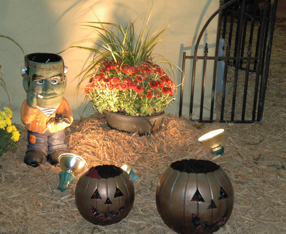 The 2011 US Nationals