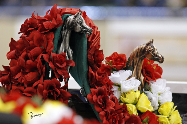 The 2011 US Nationals