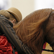 The 2011 US Nationals