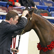 The 2011 US Nationals