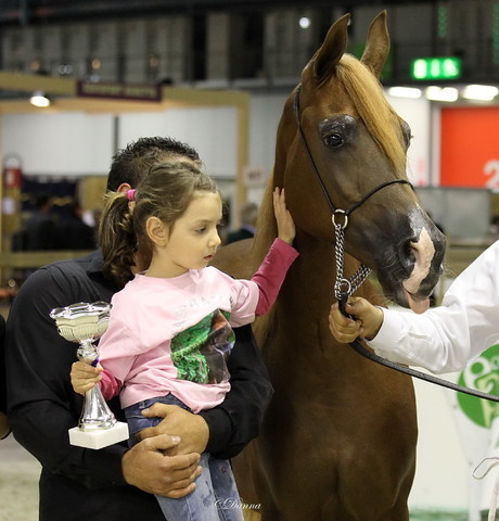 Arabi a Milano - Italy