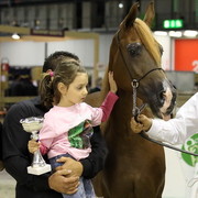 Arabi a Milano - Italy