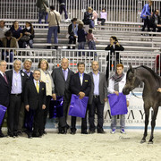 Arabi a Milano - Italy