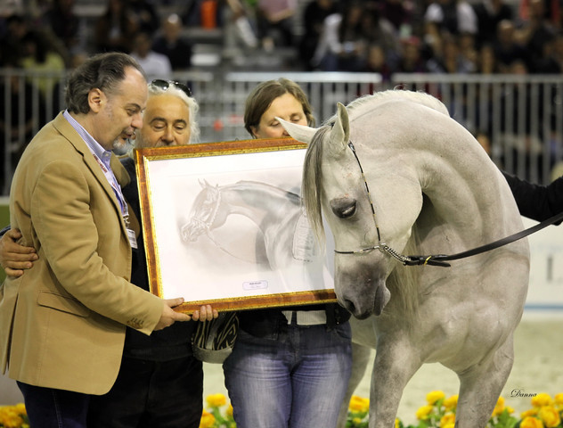 Arabi a Milano - Italy