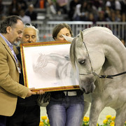 Arabi a Milano - Italy