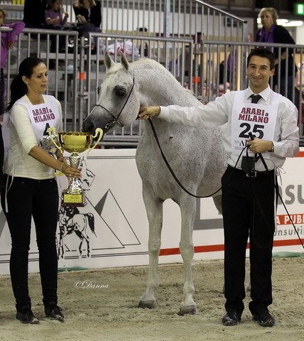 Arabi a Milano - Italy