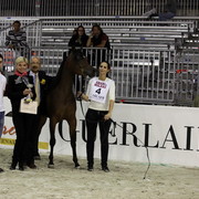 Arabi a Milano - Italy