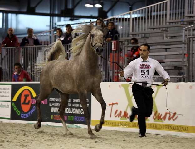 Arabi a Milano - Italy