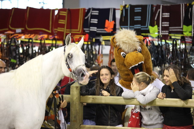 Arabi a Milano - Italy