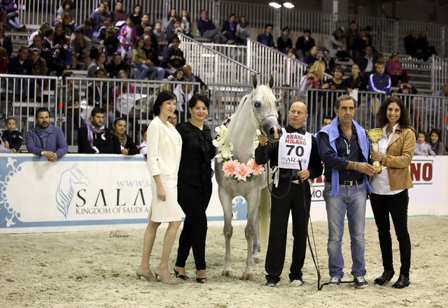 Arabi a Milano - Italy