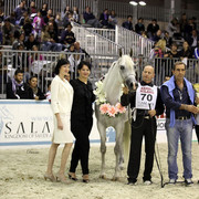 Arabi a Milano - Italy