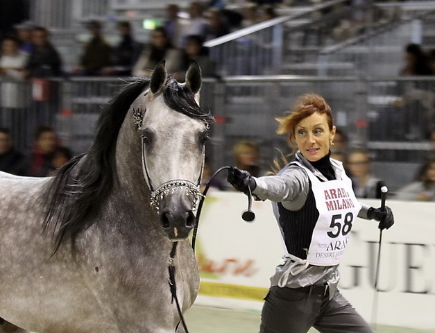 Arabi a Milano - Italy