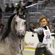 Arabi a Milano - Italy