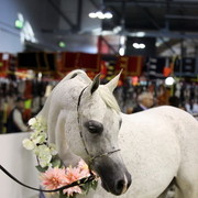 Arabi a Milano - Italy