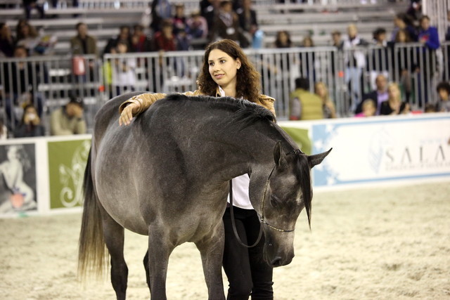 Arabi a Milano - Italy