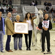 Arabi a Milano - Italy