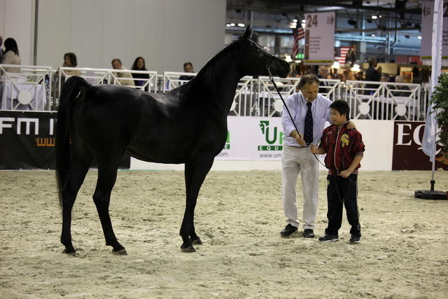 Arabi a Milano - Italy