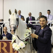 Arabi a Milano - Italy