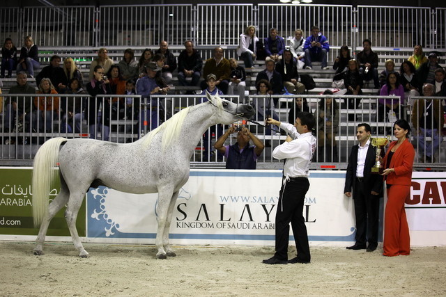 Arabi a Milano - Italy