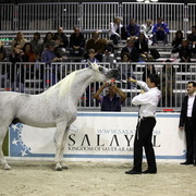 Arabi a Milano - Italy