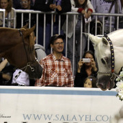 Arabi a Milano - Italy