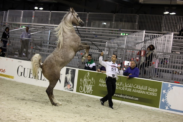 Arabi a Milano - Italy