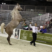 Arabi a Milano - Italy