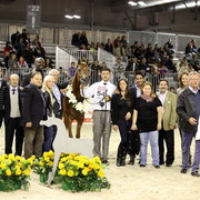 Arabi a Milano - Italy