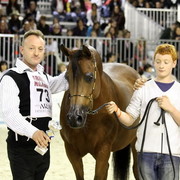 Arabi a Milano - Italy