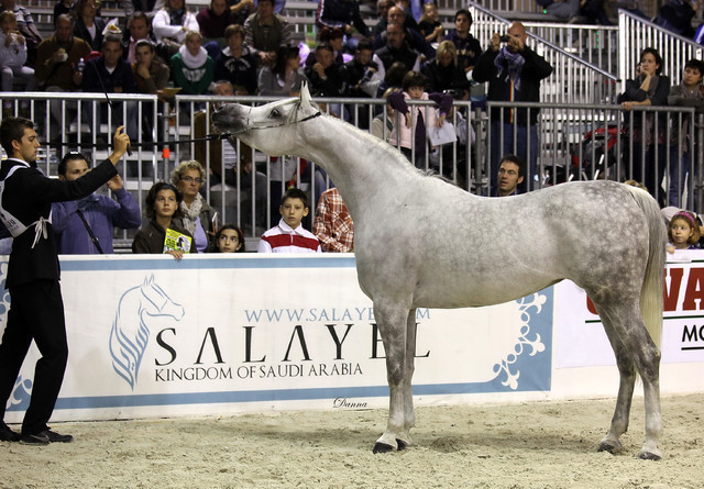 Arabi a Milano - Italy