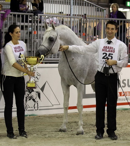 Arabi a Milano - Italy