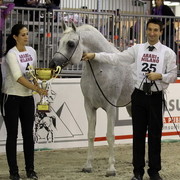 Arabi a Milano - Italy