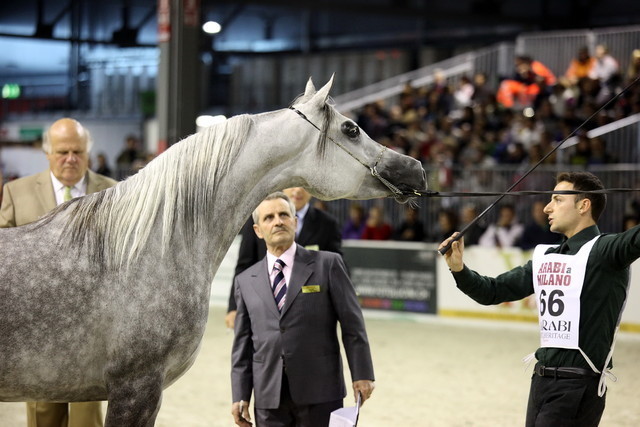 Arabi a Milano - Italy