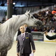 Arabi a Milano - Italy