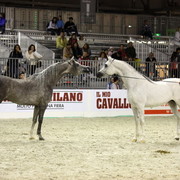 Arabi a Milano - Italy