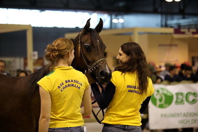 Arabi a Milano - Italy